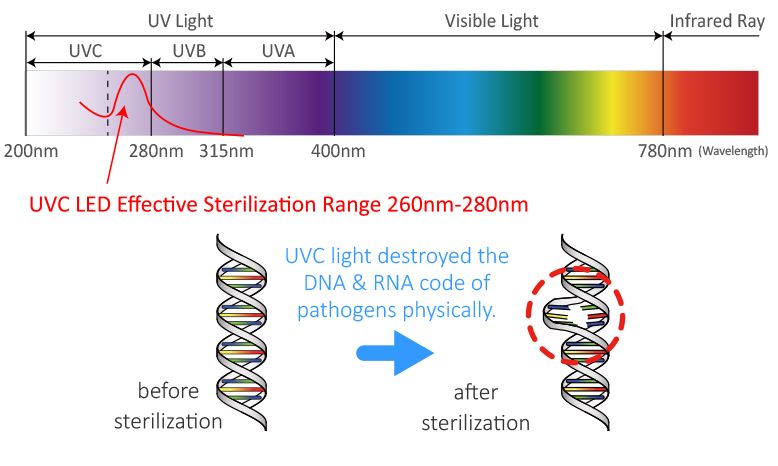 La technologie des LED UVC, qui est une lumière UV-C d'une longueur d'onde comprise entre 260 nm et 280 nm, endommage l'ADN ou l'ARN des micro-organismes tels que les bactéries/virus/acariens et élimine les germes en quelques minutes pour obtenir un effet de stérilisation pour la santé.